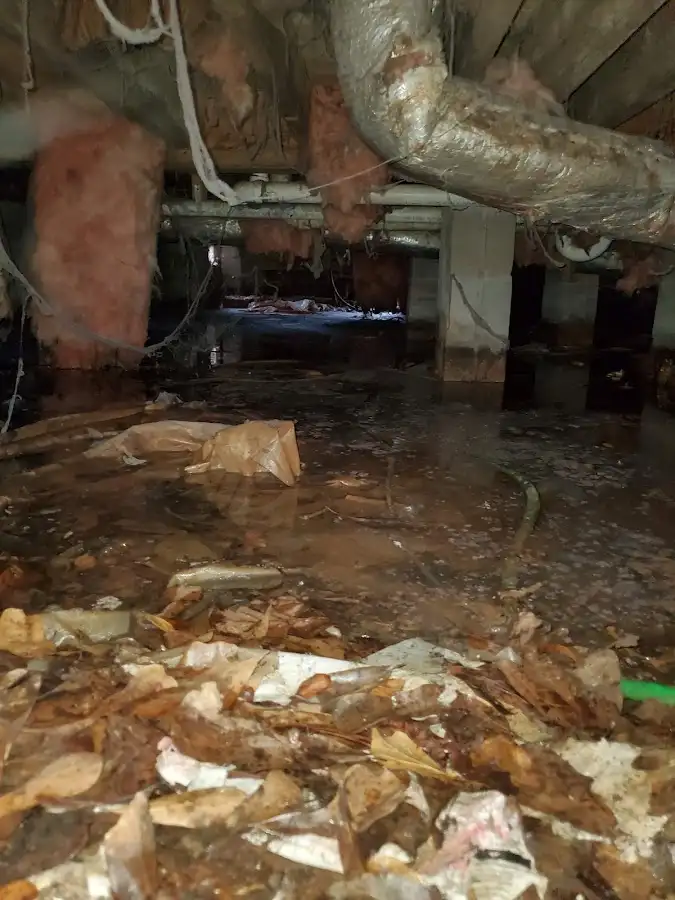 Crawl space flood assessment for Leak Detection & Repair in Booneville