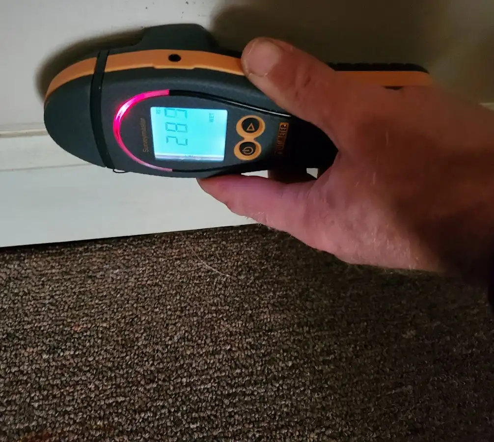Moisture detection at baseboard during Mold Inspection & Testing in Booneville